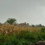 Jonah Kirogo Profile Picture