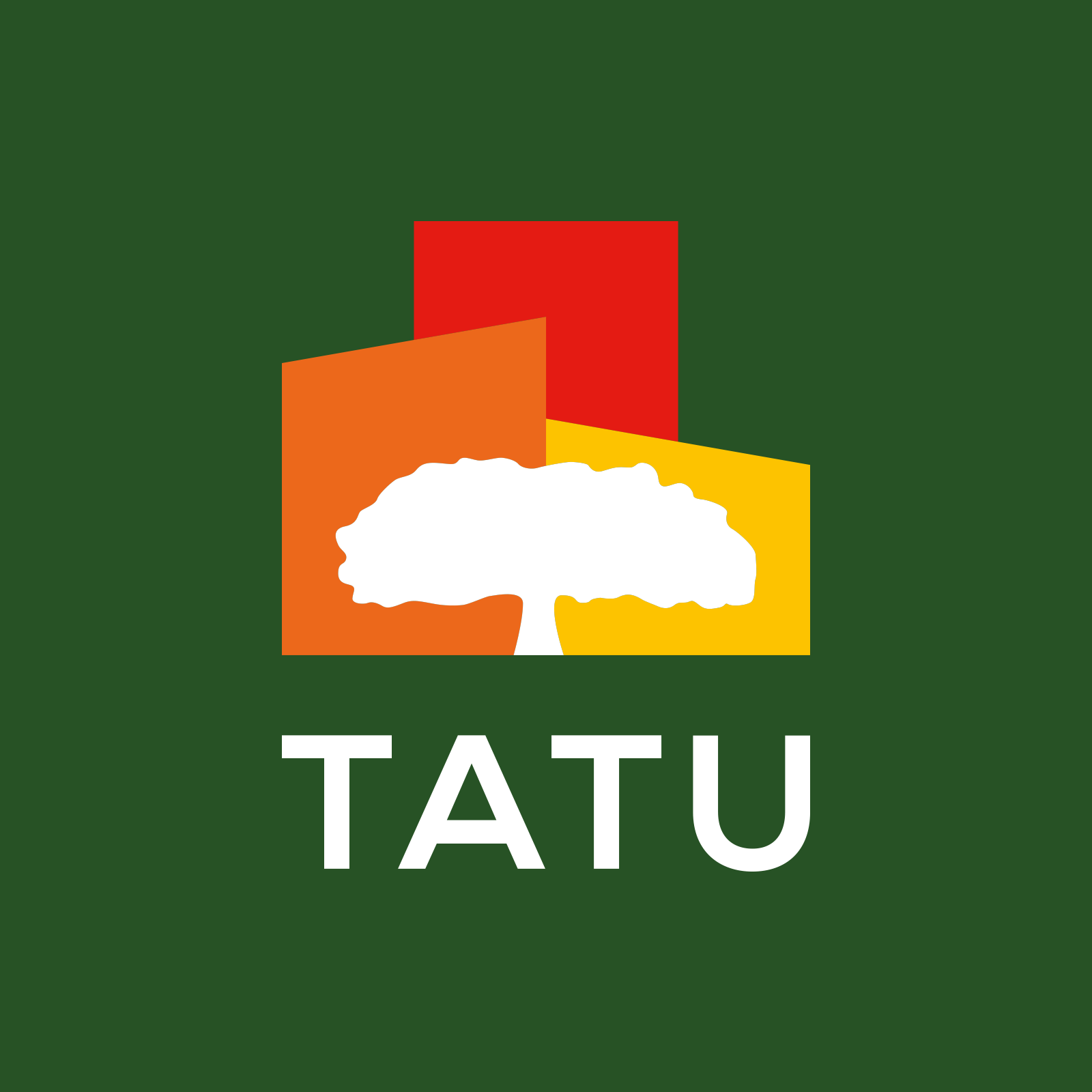 Tatu City Car Bazaar | Tatu City