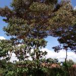 Lowryakin profile picture