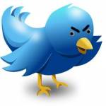 Tonny David Profile Picture