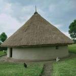 Alex Musheba Anyira Profile Picture