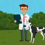 Veterinary Officers On Palscity Profile Picture
