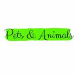 PETS AND ANIMALS