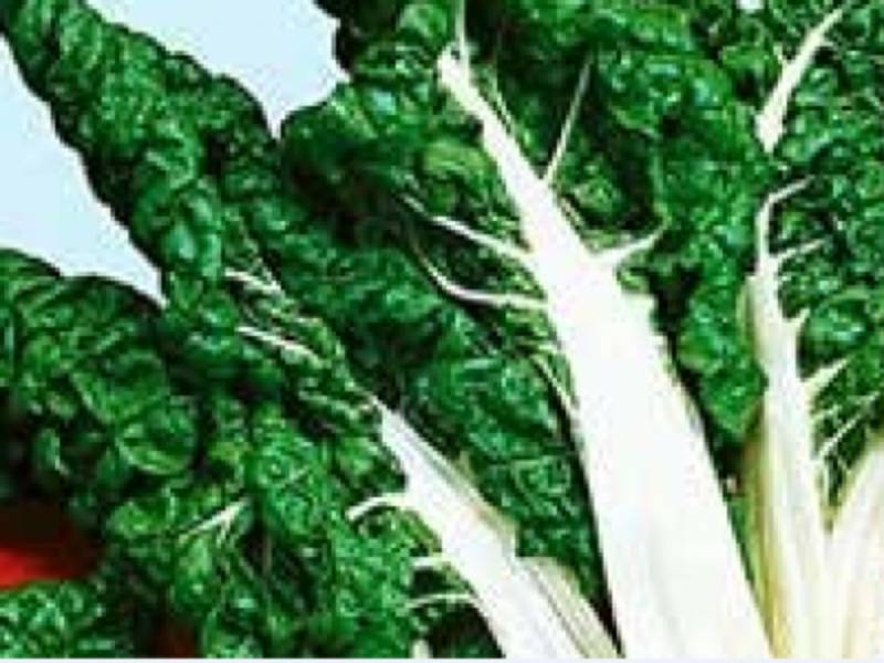 Vegetables you can easily grow in your kitchen garden - FarmKenya Initiative