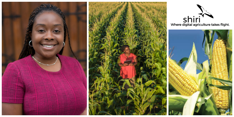 How This Female Entrepreneur Is Using Tech To Fight Food Shortage In Zimbabwe - WeeTracker