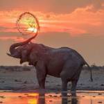 keith wayodi Profile Picture