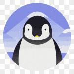 sofainshare Profile Picture