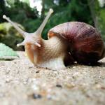 Kelvin Kithinji Profile Picture