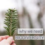 Polly Profile Picture