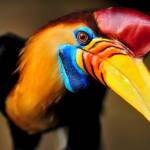 Wilson Mwangi Profile Picture