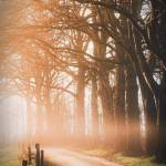 Wiz ™️ Khalix™️ Profile Picture