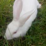 Kinuthia Joseph Profile Picture