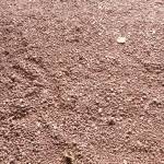 Bashir Hassan Profile Picture