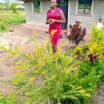 Violet Onyango Profile Picture