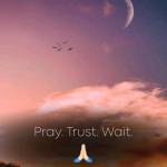 Khalid Abdi Profile Picture