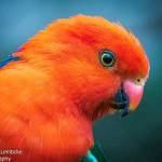 Athman Mkuta Profile Picture