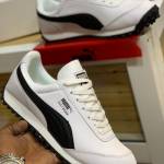 Tosh Gurva Profile Picture