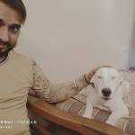 Prashant Upadhyay Profile Picture