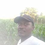 Solomon ligare Profile Picture