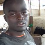 Kelvin Shugi Profile Picture
