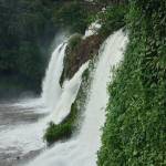 Brazil Nadia Profile Picture