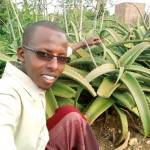 Ahmed Noor Profile Picture