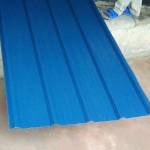 Mary Maria Profile Picture