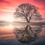 Isaiah Owiti Profile Picture