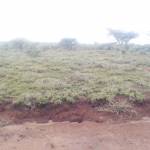 John Kiore Profile Picture