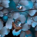 Emmah Mathu Profile Picture