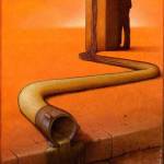 Kibet Edwin Profile Picture