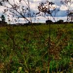 Feeo 45 Profile Picture