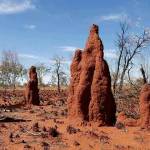 Yusuf Husein Profile Picture