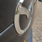 Cate Nish Profile Picture