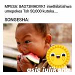 Petrusi Scorpsi Profile Picture