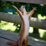 Stanley Msake Profile Picture