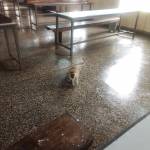 Robert Kamau Profile Picture