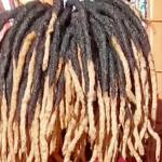 Kennedy Kimathi Profile Picture