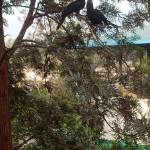 Emmanuel Kiptoo Profile Picture