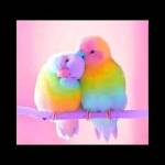 Dinah Achila Profile Picture