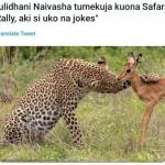 Kemboi Shyluck Profile Picture