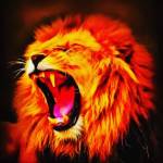 Wizzen 28 Profile Picture