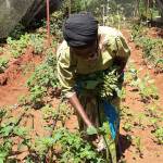 Kinah Merc Profile Picture