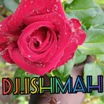 Deejay Ishmah Profile Picture
