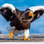 Cyrus Mututa Profile Picture