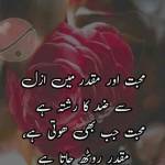 Fahad Hassan Profile Picture