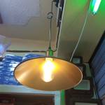 Dan Gori Profile Picture