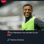 Steve Mario Profile Picture