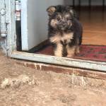 Melody Mwitimi Profile Picture