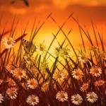 Kiria Leah Profile Picture